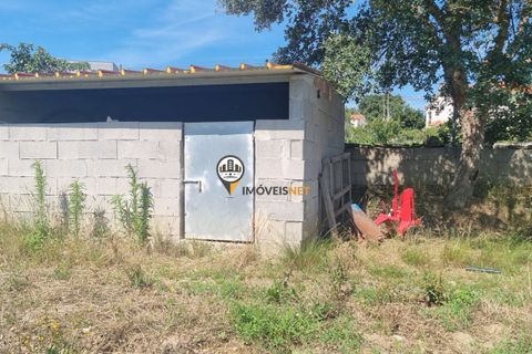 Helårsgrund i Castelo Branco, Castelo Branco, Castelo Branco - € 68.000 | Ref: 2587 - foto 3