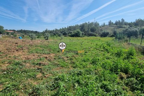 Helårsgrund i Castelo Branco, Castelo Branco, Castelo Branco - € 68.000 | Ref: 2587 - foto 6