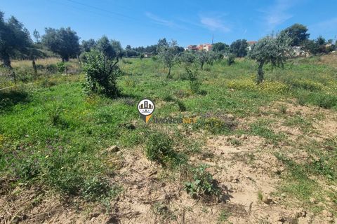 Helårsgrund i Castelo Branco, Castelo Branco, Castelo Branco - € 68.000 | Ref: 2587 - foto 14