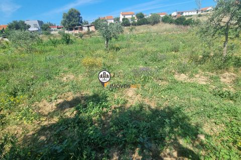 Helårsgrund i Castelo Branco, Castelo Branco, Castelo Branco - € 68.000 | Ref: 2587 - foto 15