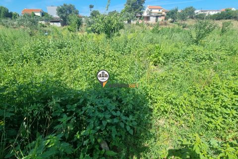 Helårsgrund i Castelo Branco, Castelo Branco, Castelo Branco - € 68.000 | Ref: 2587 - foto 16