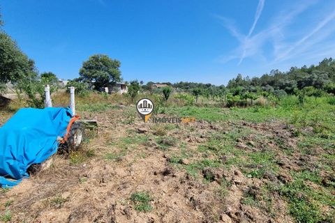 Helårsgrund i Castelo Branco, Castelo Branco, Castelo Branco - € 68.000 | Ref: 2587 - foto 17