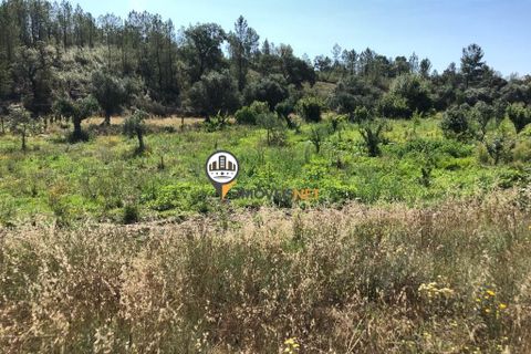 Helårsgrund i Castelo Branco, Castelo Branco, Castelo Branco - € 68.000 | Ref: 2587 - foto 19