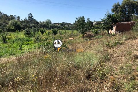 Helårsgrund i Castelo Branco, Castelo Branco, Castelo Branco - € 68.000 | Ref: 2587 - foto 20