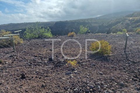Terra a Arico, Tenerife, Arico - € 1.090.000 | Ref: 2H-AD-3686 - foto 6