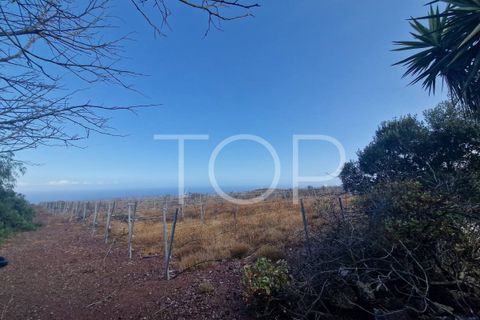 Terra a Arico, Tenerife, Arico - € 1.090.000 | Ref: 2H-AD-3686 - foto 8