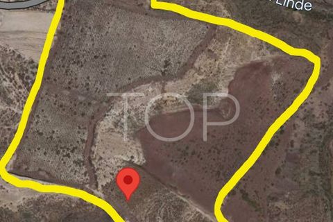 Terra a Arico, Tenerife, Arico - € 1.090.000 | Ref: 2H-AD-3686 - foto 9