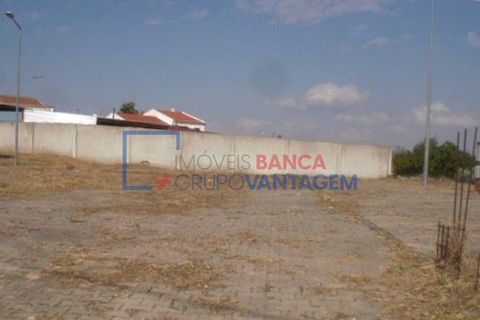 Terra a Alvito, Beja, Alvito - € 28.000 | Ref: T-25514 - foto 2