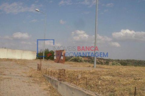 Terra a Alvito, Beja, Alvito - € 28.000 | Ref: T-25514 - foto 3