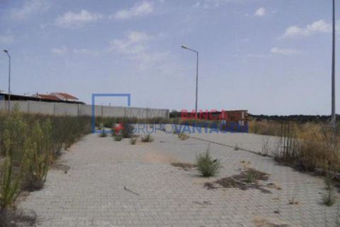 Terra a Alvito, Beja, Alvito - € 28.000 | Ref: T-25514 - foto 4