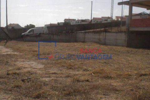 Terra a Alvito, Beja, Alvito - € 28.000 | Ref: T-25514 - foto 5