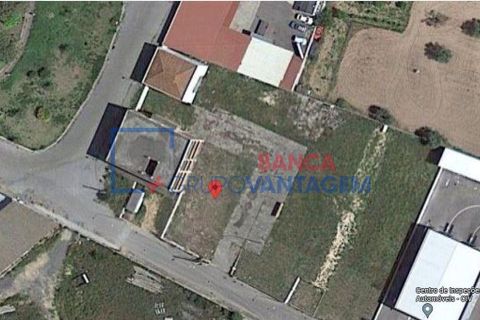 Terra a Alvito, Beja, Alvito - € 28.000 | Ref: T-25514 - foto 6