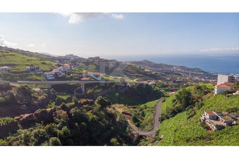 Helårsgrund i Camara de Lobos, Madeira, Camara de Lobos - € 40.000 | Ref: IK783CL-5 - foto 2
