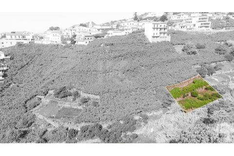 Helårsgrund i Camara de Lobos, Madeira, Camara de Lobos - € 40.000 | Ref: IK783CL-5 - foto 3