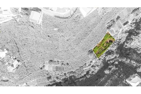 Helårsgrund i Camara de Lobos, Madeira, Camara de Lobos - € 40.000 | Ref: IK783CL-5 - foto 4