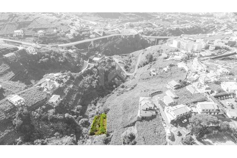 Helårsgrund i Camara de Lobos, Madeira, Camara de Lobos - € 40.000 | Ref: IK783CL-5 - foto 5