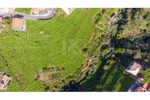 Helårsgrund i Camara de Lobos, Madeira, Camara de Lobos - € 40.000 | Ref: IK783CL-5 - foto 6