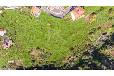Helårsgrund i Camara de Lobos, Madeira, Camara de Lobos - € 40.000 | Ref: IK783CL-5 - foto 7
