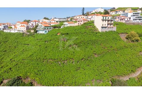 Helårsgrund i Camara de Lobos, Madeira, Camara de Lobos - € 40.000 | Ref: IK783CL-5 - foto 8