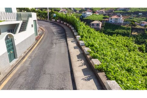 Helårsgrund i Camara de Lobos, Madeira, Camara de Lobos - € 40.000 | Ref: IK783CL-5 - foto 9