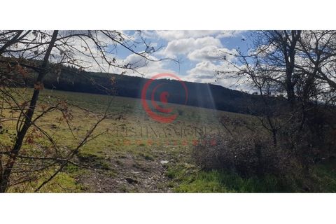 Helårsgrund i Chaves, Vila Real, Chaves - € 39.000 | Ref: CM01-0071 - foto 5