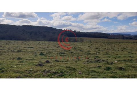 Helårsgrund i Chaves, Vila Real, Chaves - € 39.000 | Ref: CM01-0071 - foto 6