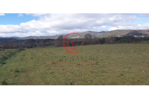 Helårsgrund i Chaves, Vila Real, Chaves - € 39.000 | Ref: CM01-0071 - foto 7