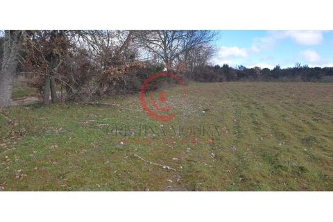 Helårsgrund i Chaves, Vila Real, Chaves - € 39.000 | Ref: CM01-0071 - foto 8