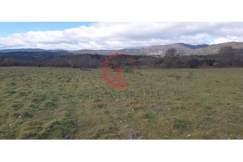 Helårsgrund i Chaves, Vila Real, Chaves - € 39.000 | Ref: CM01-0071 - foto 9