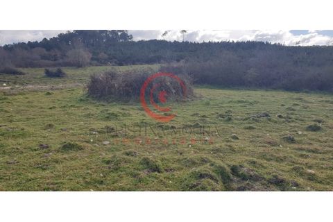 Helårsgrund i Chaves, Vila Real, Chaves - € 39.000 | Ref: CM01-0071 - foto 10