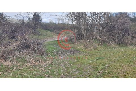 Helårsgrund i Chaves, Vila Real, Chaves - € 39.000 | Ref: CM01-0071 - foto 11