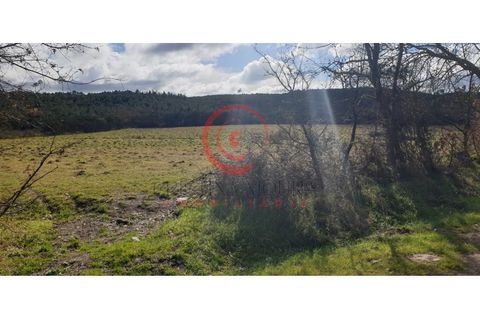 Helårsgrund i Chaves, Vila Real, Chaves - € 39.000 | Ref: CM01-0071 - foto 12