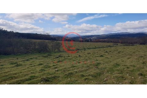 Helårsgrund i Chaves, Vila Real, Chaves - € 39.000 | Ref: CM01-0071 - foto 13