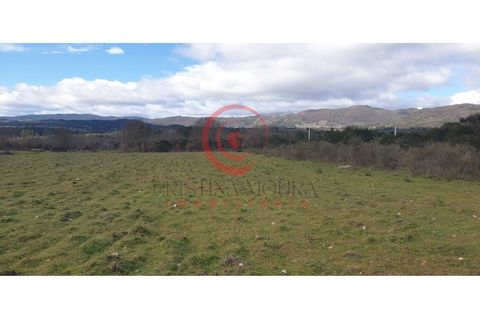 Helårsgrund i Chaves, Vila Real, Chaves - € 39.000 | Ref: CM01-0071 - foto 15