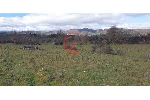 Helårsgrund i Chaves, Vila Real, Chaves - € 39.000 | Ref: CM01-0071 - foto 16