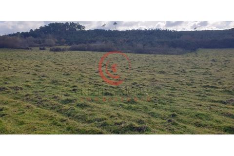 Helårsgrund i Chaves, Vila Real, Chaves - € 39.000 | Ref: CM01-0071 - foto 17