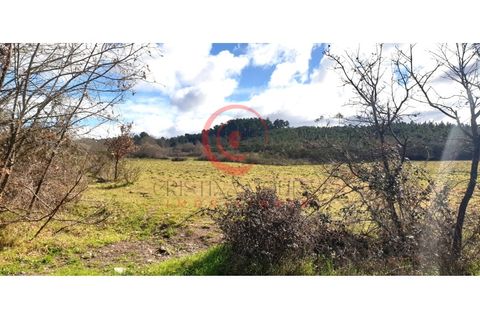 Helårsgrund i Chaves, Vila Real, Chaves - € 39.000 | Ref: CM01-0071 - foto 19