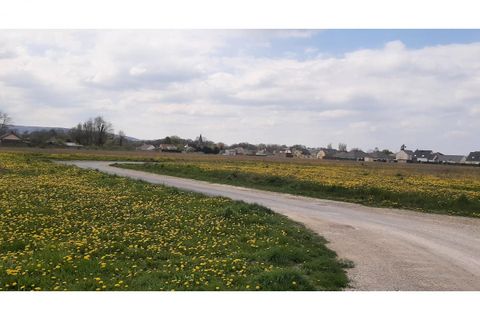 Terra a Val-de-Vesle, Marne, Val-de-Vesle - € 93.500 | Ref: PG017444-_36 - foto 2