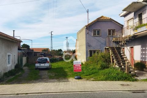 Helårsgrund i Monte Real, Leiria, Monte Real - € 35.000 | Ref: 235/T/01460 - foto 5
