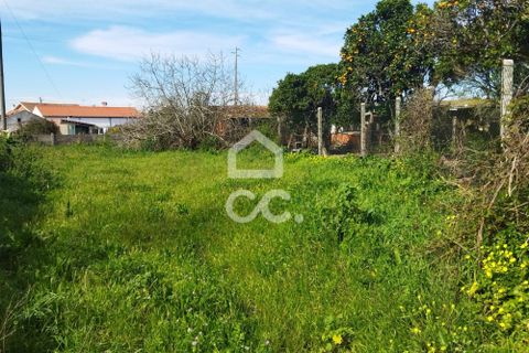 Helårsgrund i Monte Real, Leiria, Monte Real - € 35.000 | Ref: 235/T/01460 - foto 4