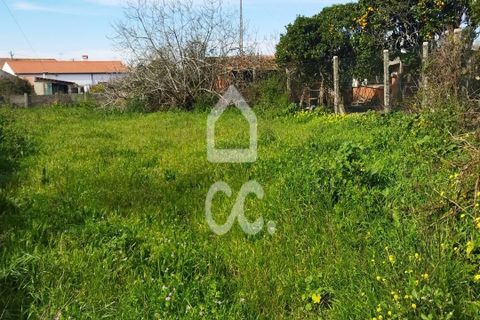 Helårsgrund i Monte Real, Leiria, Monte Real - € 35.000 | Ref: 235/T/01460 - foto 8