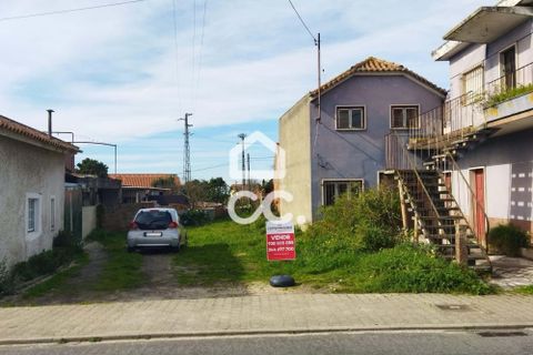 Helårsgrund i Monte Real, Leiria, Monte Real - € 35.000 | Ref: 235/T/01460 - foto 2
