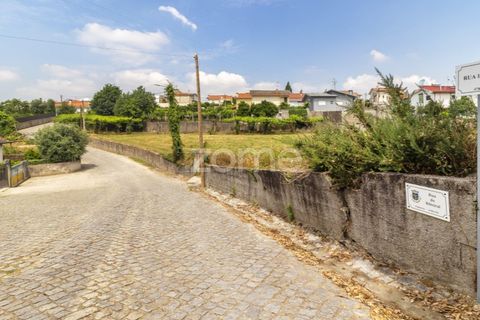 Helårsgrund i Santo Tirso, Porto, Santo Tirso - € 1.200.000 | Ref: ZMPT558382 - foto 10