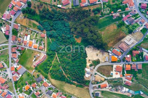Helårsgrund i Santo Tirso, Porto, Santo Tirso - € 1.200.000 | Ref: ZMPT558382 - foto 4