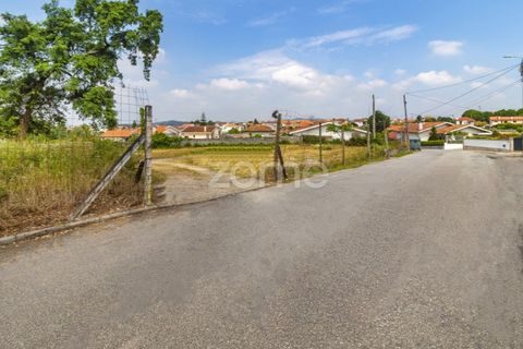Helårsgrund i Santo Tirso, Porto, Santo Tirso - € 1.200.000 | Ref: ZMPT558382 - foto 7