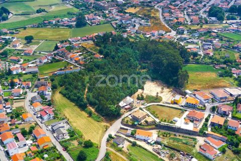 Helårsgrund i Santo Tirso, Porto, Santo Tirso - € 1.200.000 | Ref: ZMPT558382 - foto 11