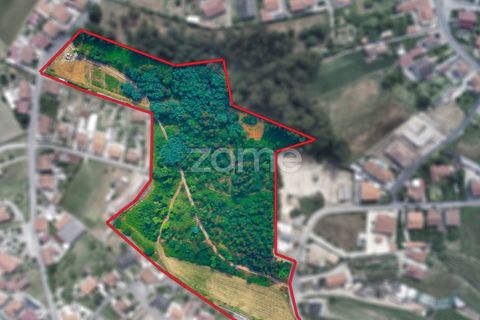 Helårsgrund i Santo Tirso, Porto, Santo Tirso - € 1.200.000 | Ref: ZMPT558382 - foto 2