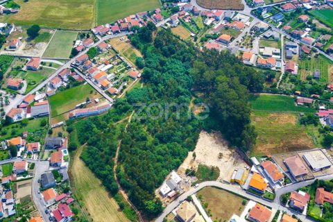 Helårsgrund i Santo Tirso, Porto, Santo Tirso - € 1.200.000 | Ref: ZMPT558382 - foto 9