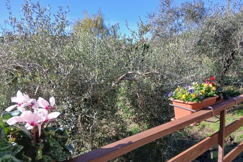 Leilighet i Morlupo, Rome, Morlupo - € 135 000 | Ref: 1568 - foto 44
