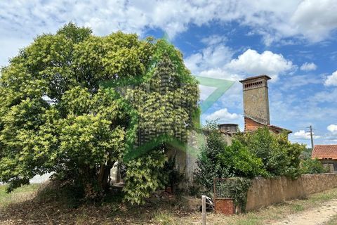 Farm i Tomar, Santarem, Tomar - € 165.000 | Ref: Star_142 - foto 4